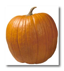 The Amazing Health Benefits Of Pumpkins | Insearch4success.com